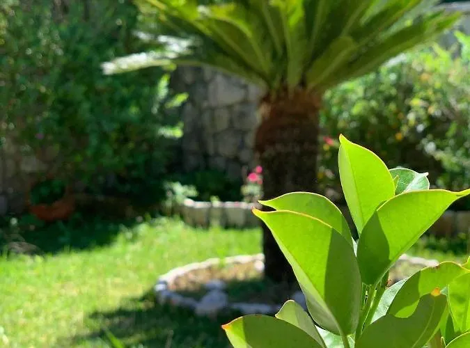 Casa de Férias Theosis