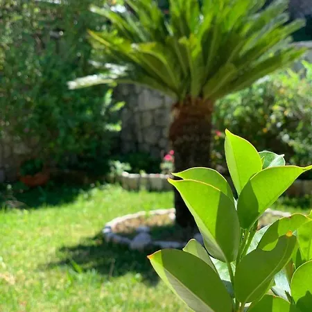 Holiday home Theosis